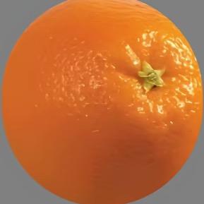 黄橙子皮🍊