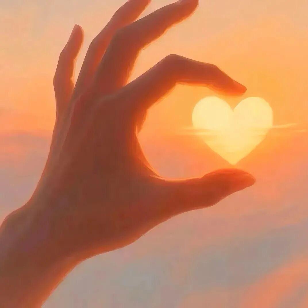 🌻🌻🌻《退网》请勿打扰🌙☀️