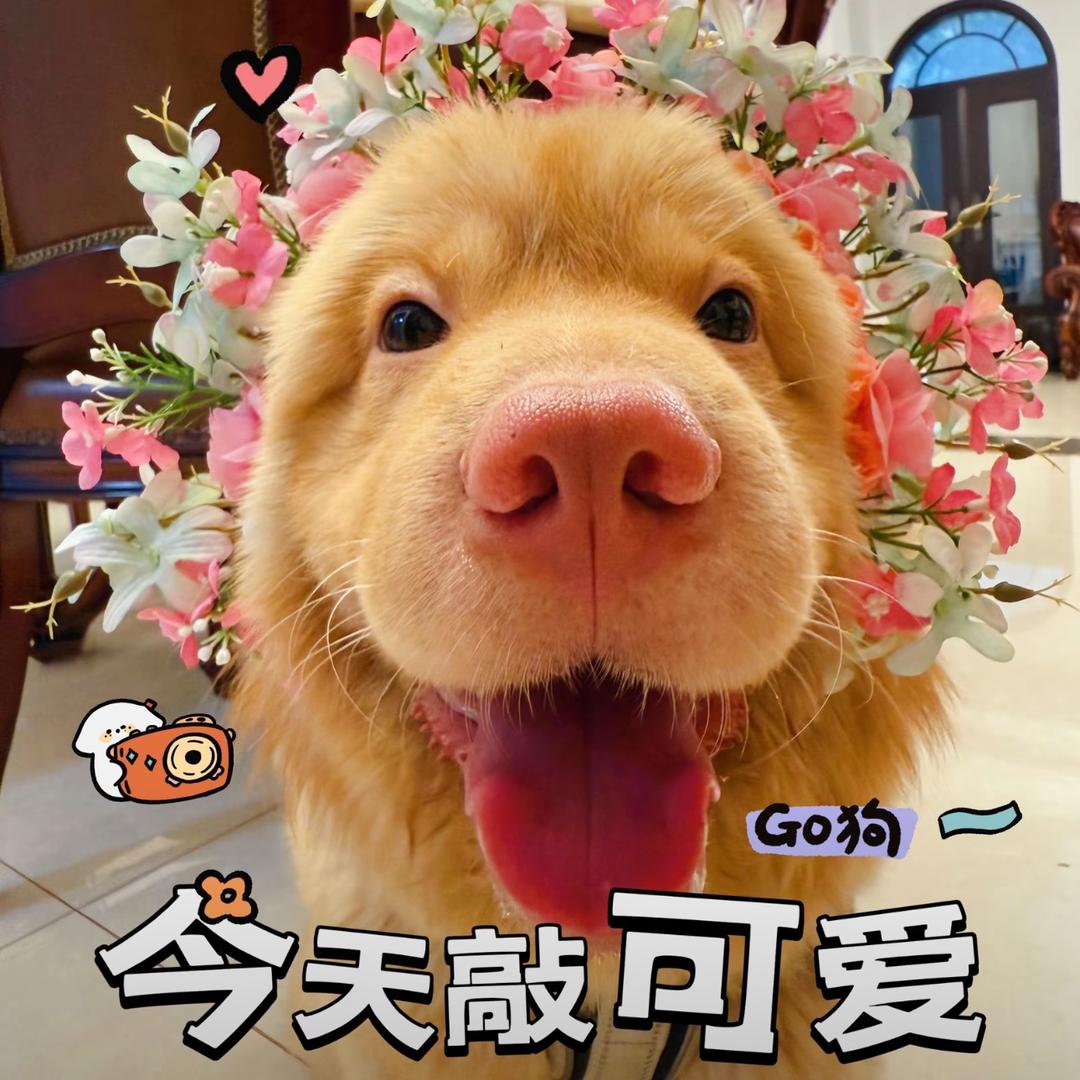 偏我来时逢春