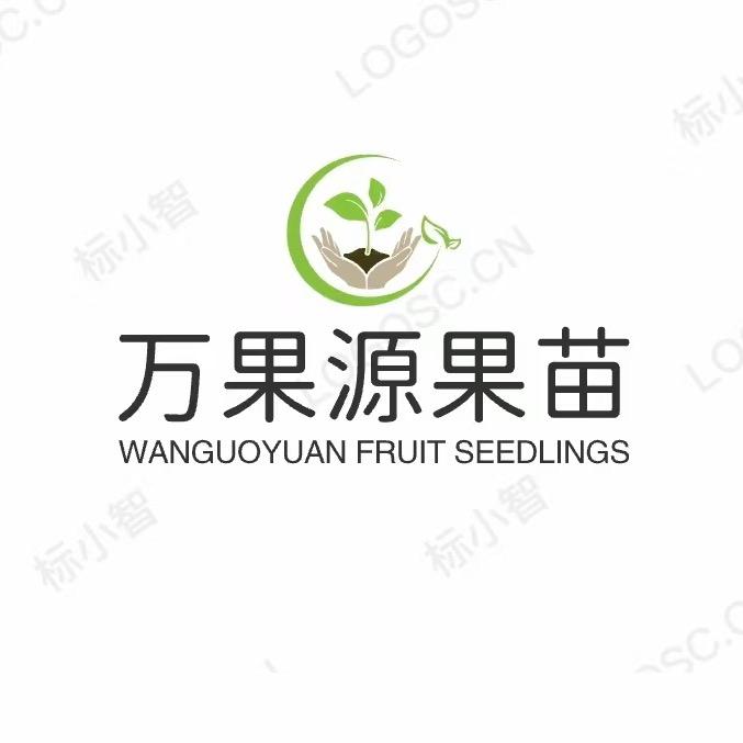万果源果苗