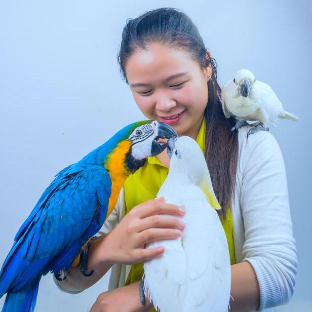 玥玥妈鹦鹉饲料铺