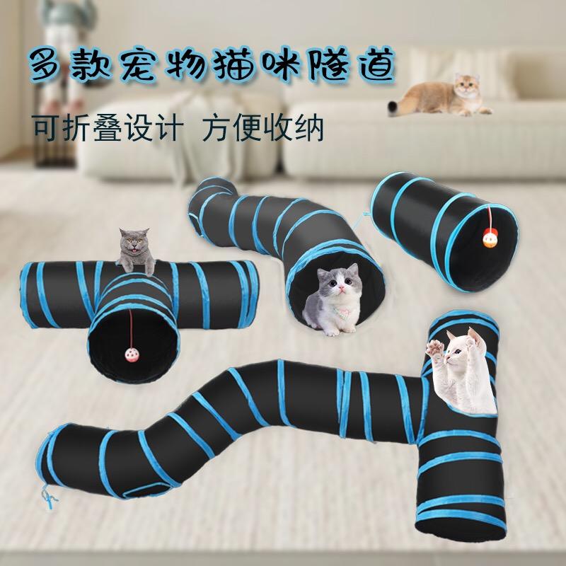 流浪猫家园