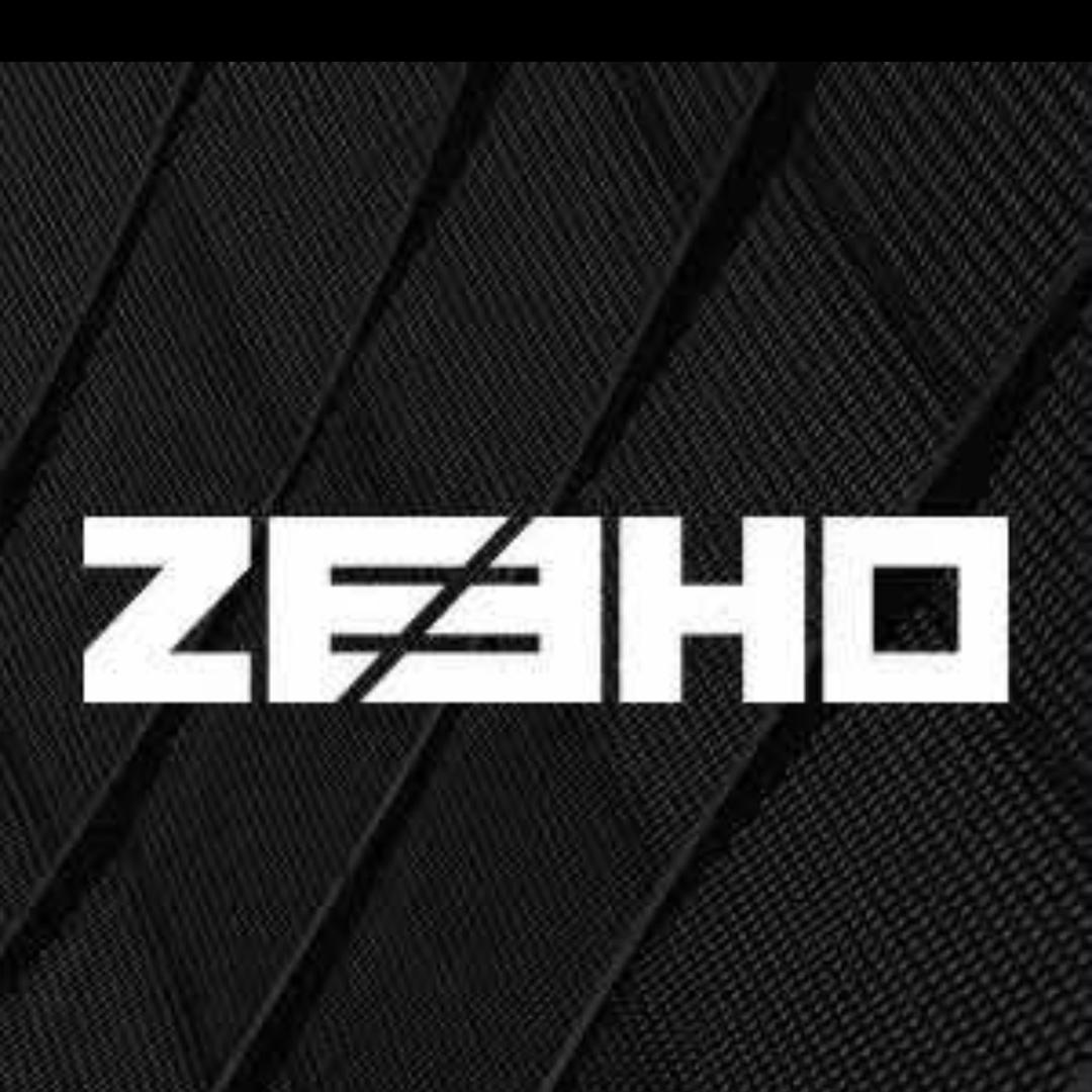 ZEEHO极核【济南运营中心】