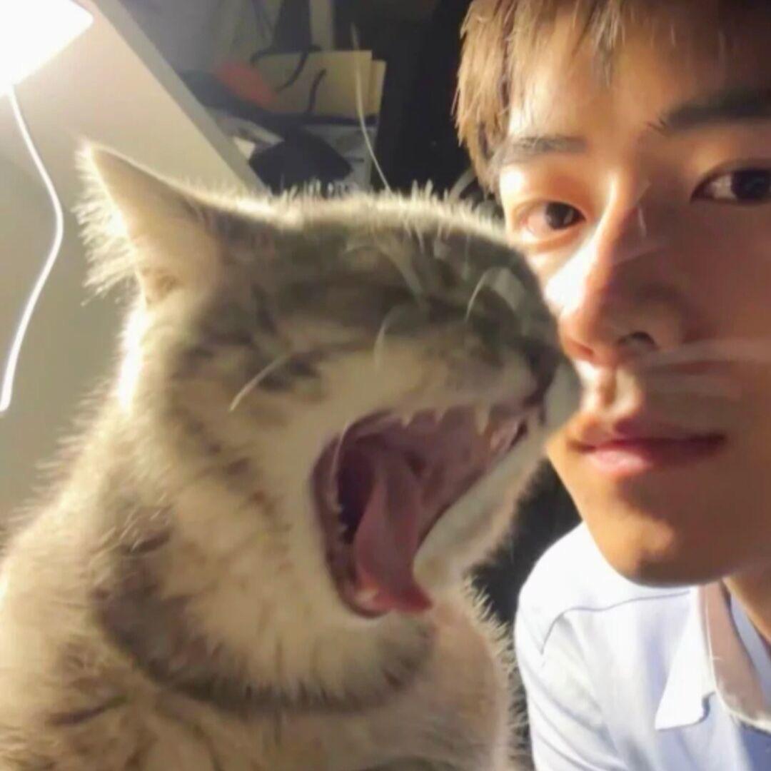 飞鱼