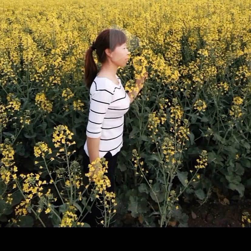 一支向日葵🌻