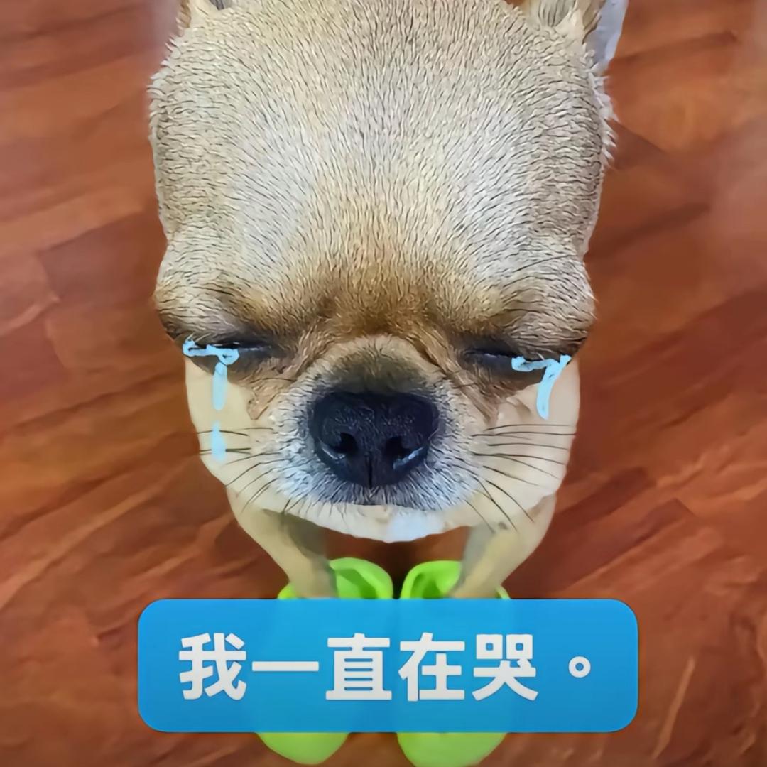 二婚读懂人心