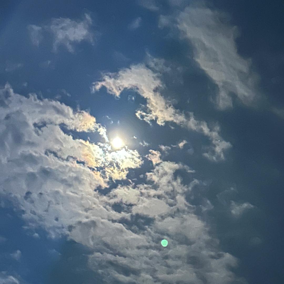 糖糖