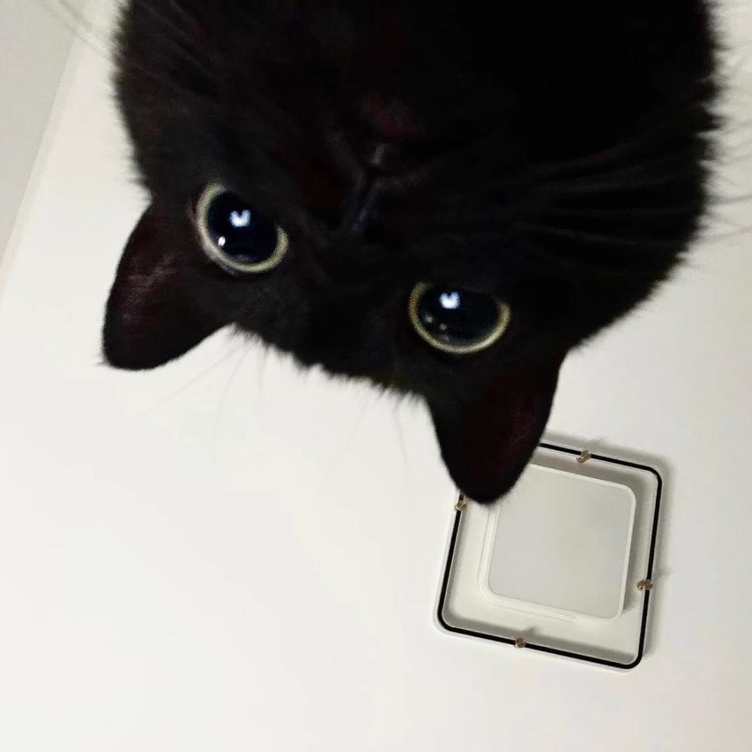 ¹⁰