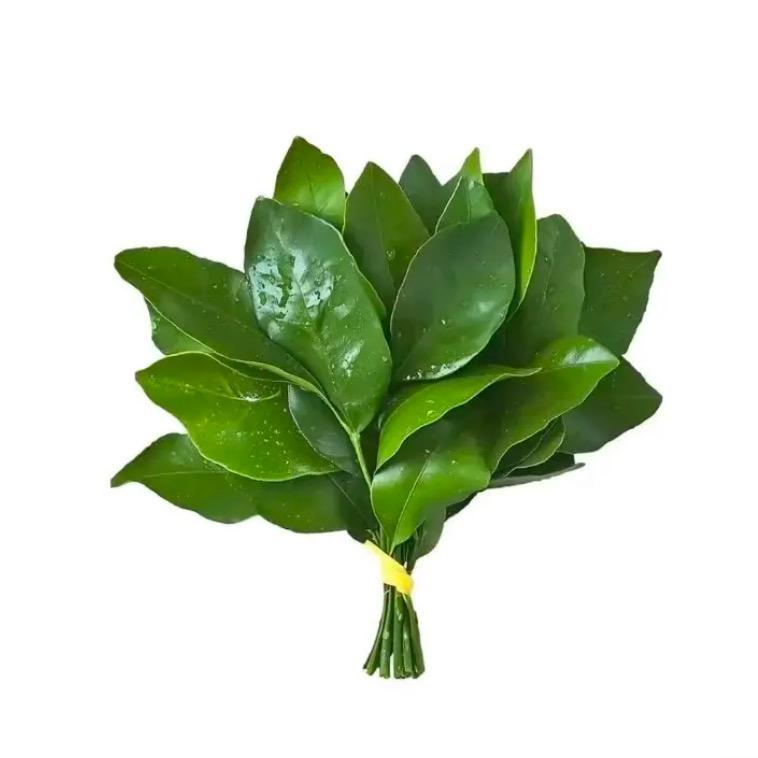 my