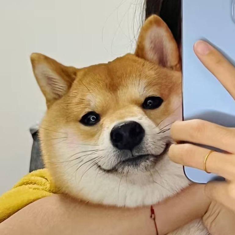 五月是只小柴。