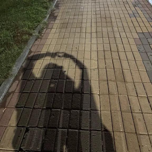 小谢同志🍓(最爱赵赵版)
