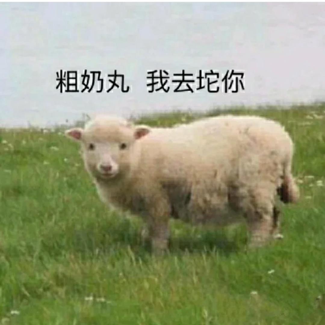 皮卡皮卡狗