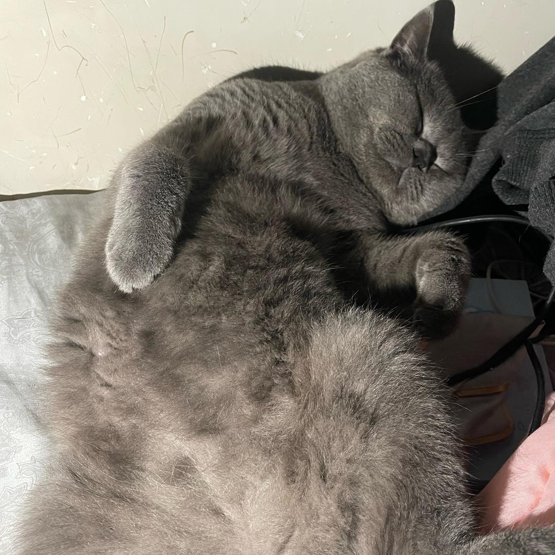 阿宁❤️