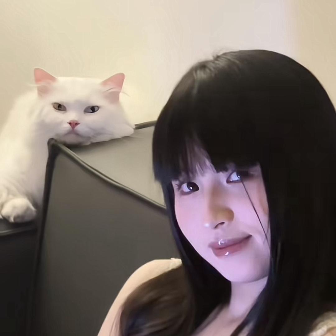 呃呃