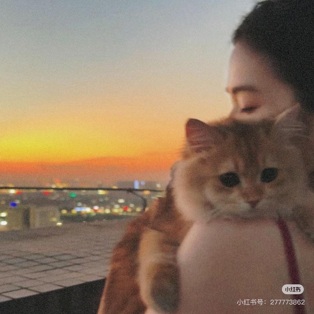 𝕎 𝔸 ℕ 𝔾 ℝ 𝕌𝕀 💫