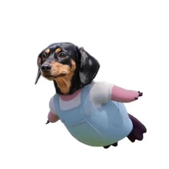 梅川内酷爱好者