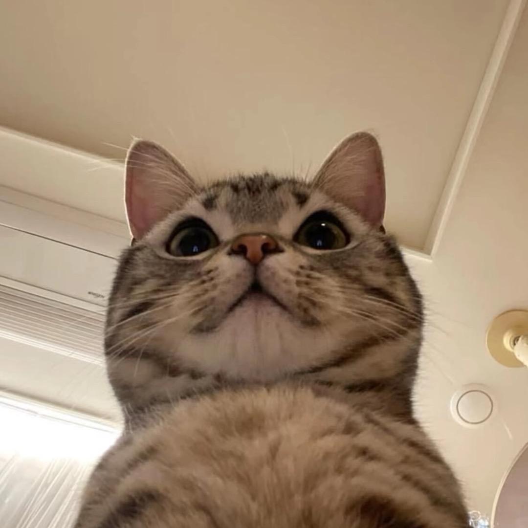 有¥¥¥