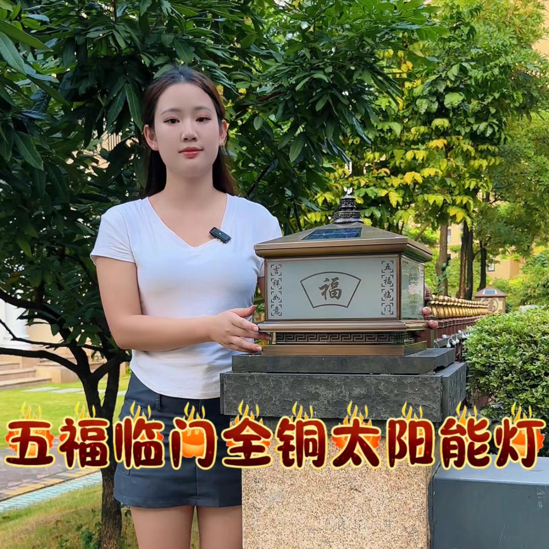 中山壹仟太阳能灯饰授权号