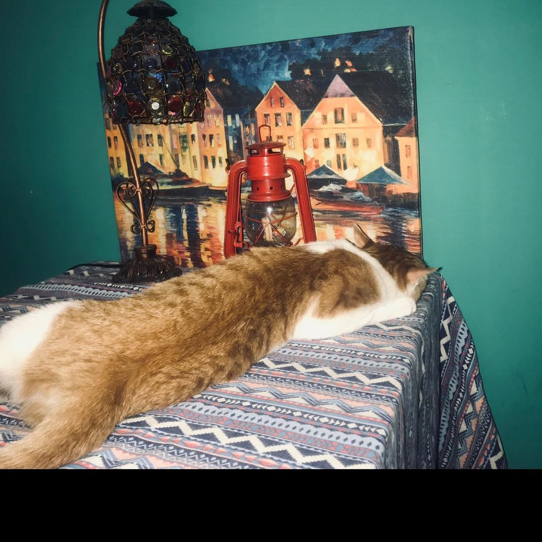 雪儿嫁衣馆，平山丽水湾步行街