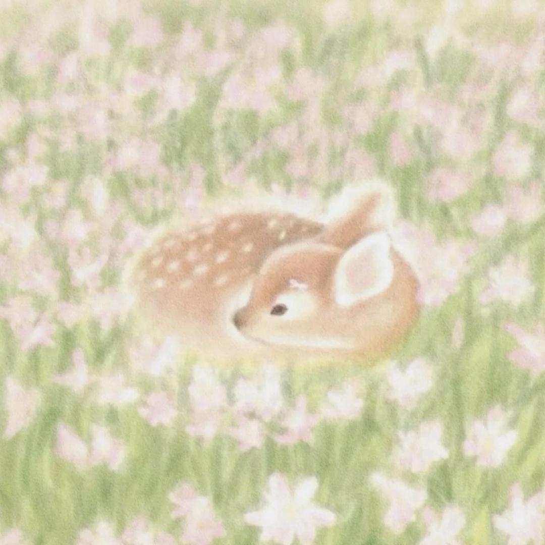 橙美财