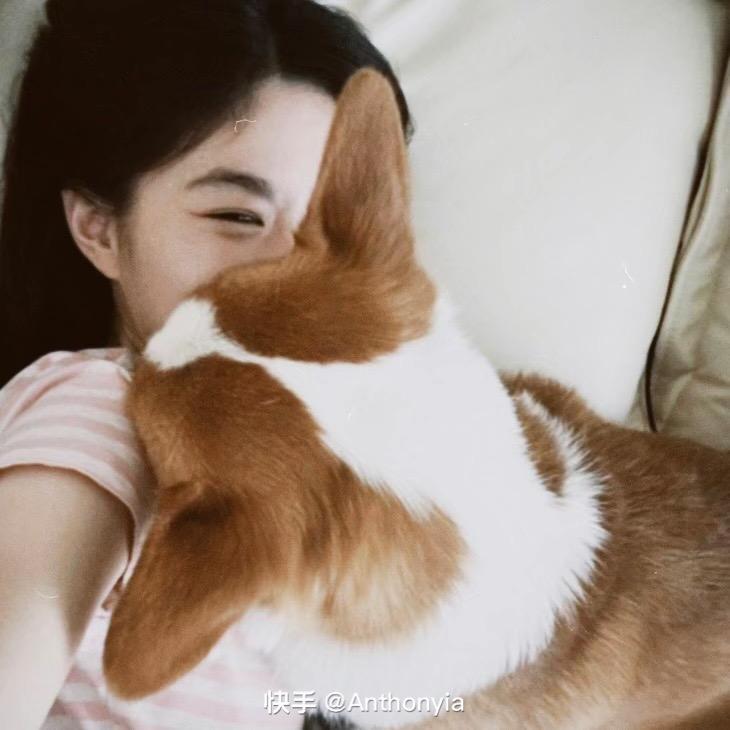 聪明的笨鱼