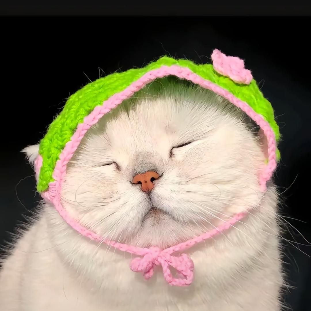 我想要两颗西柚