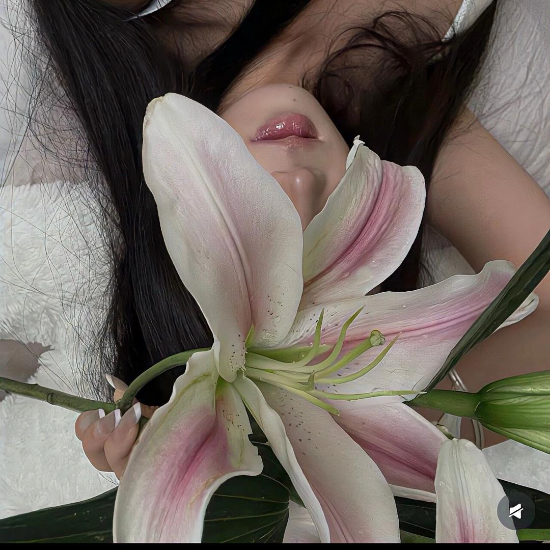学姐.