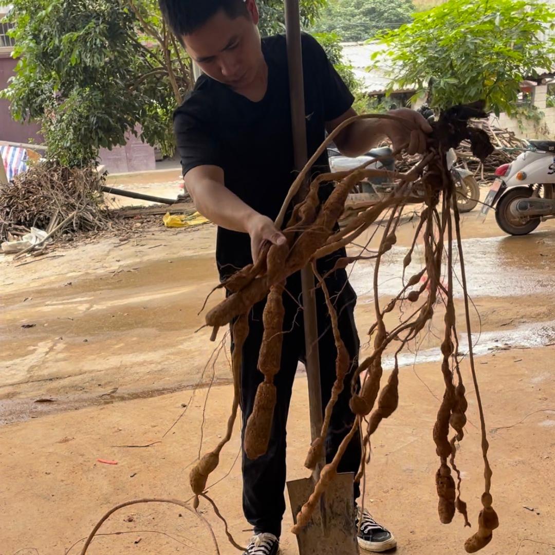 农人阿珍山货土特产