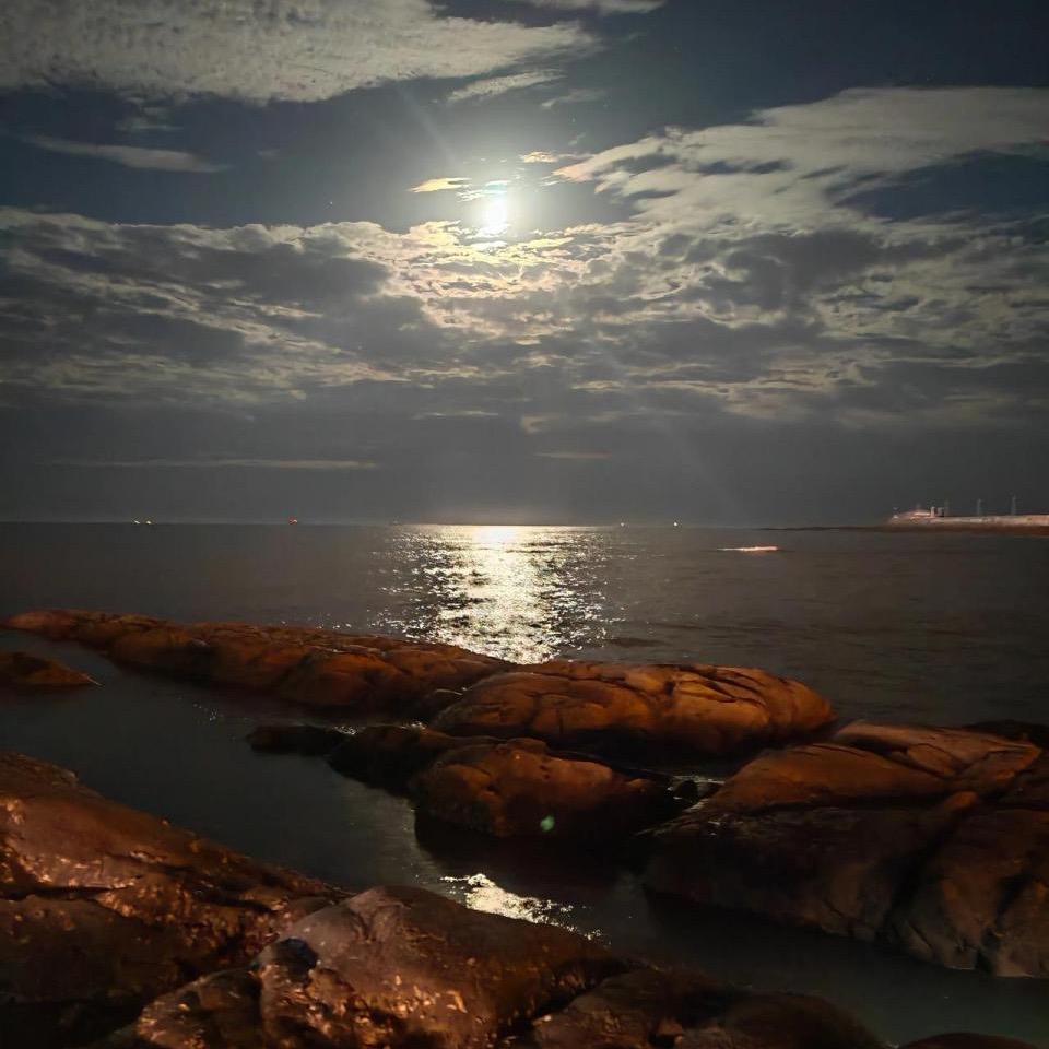 夜海风