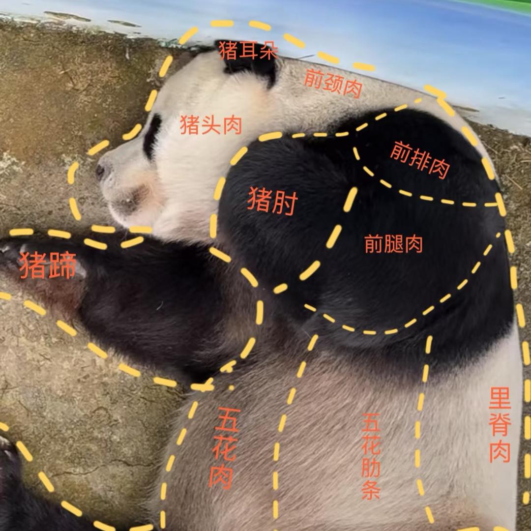 旅人🍉