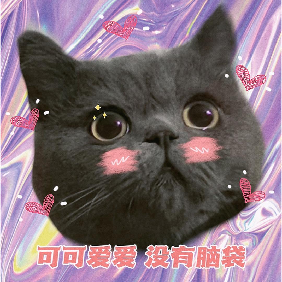 🐷妹
