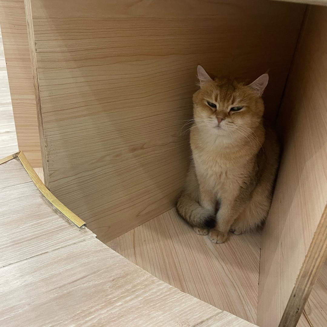 娇柒（暗区突围）