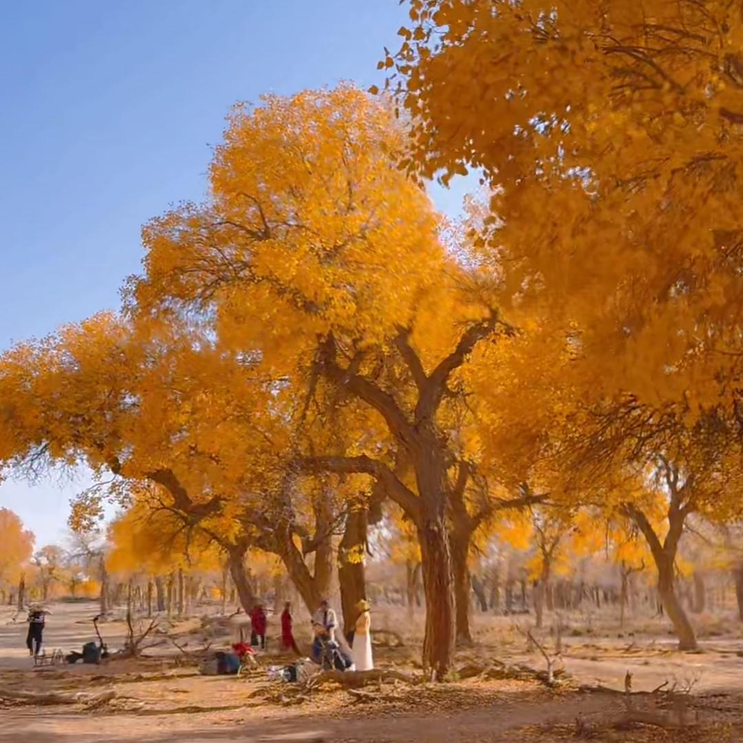杭州乔司地铁口租房
