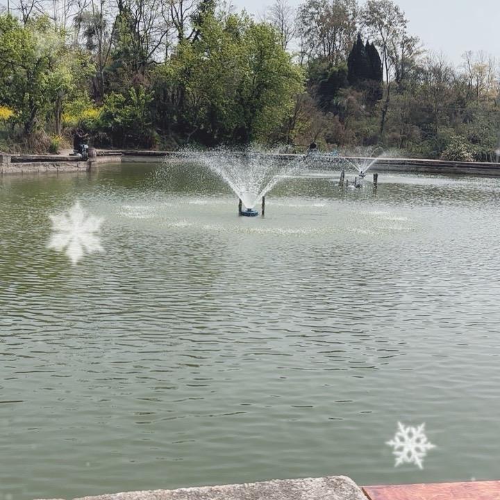 麦坪老付鱼塘