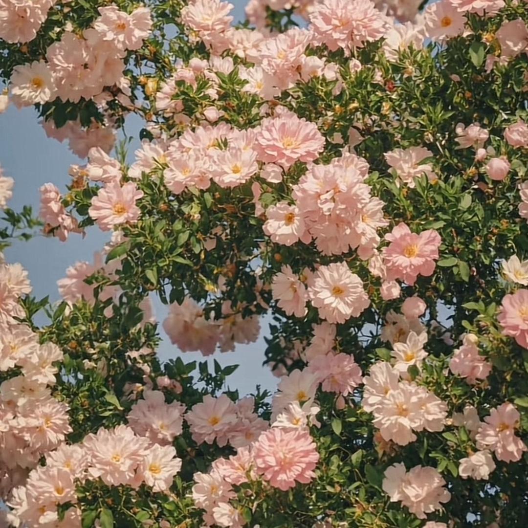 恩惠（张鱼哥）