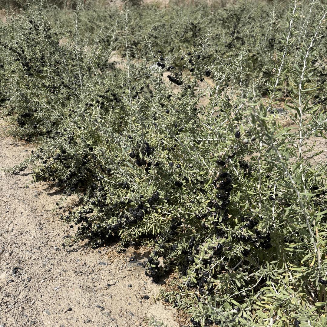 兜欢喜百货臻选阁