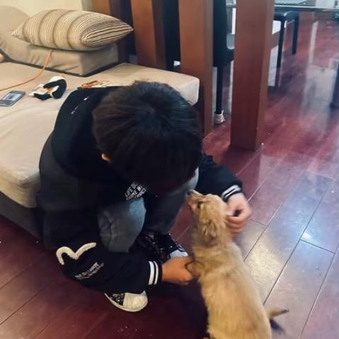 吃饱了就睡