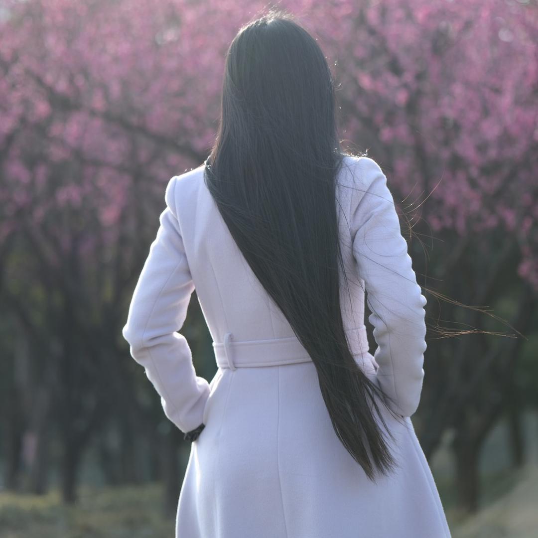 夏晚晴