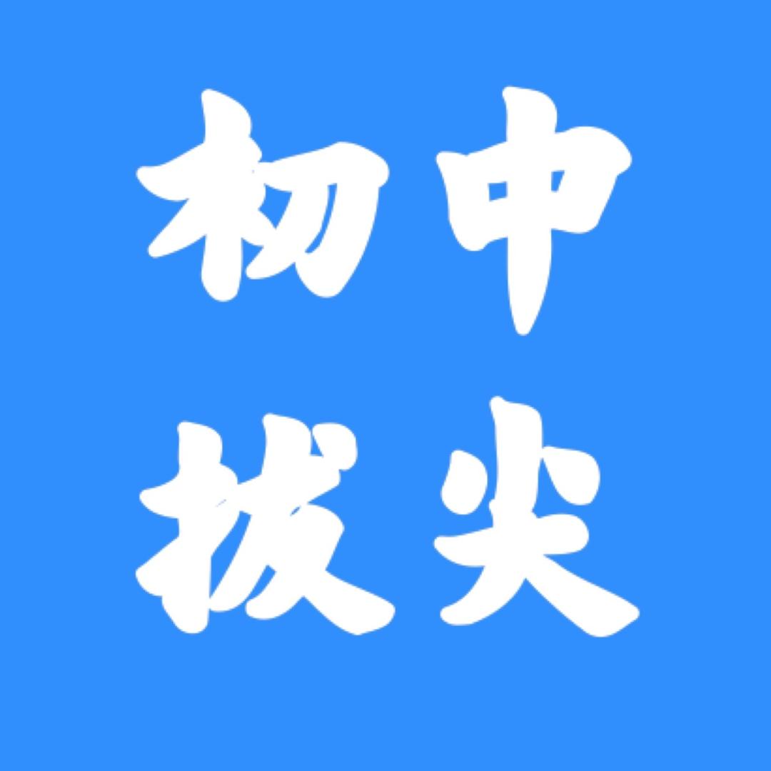 初二拔尖资料