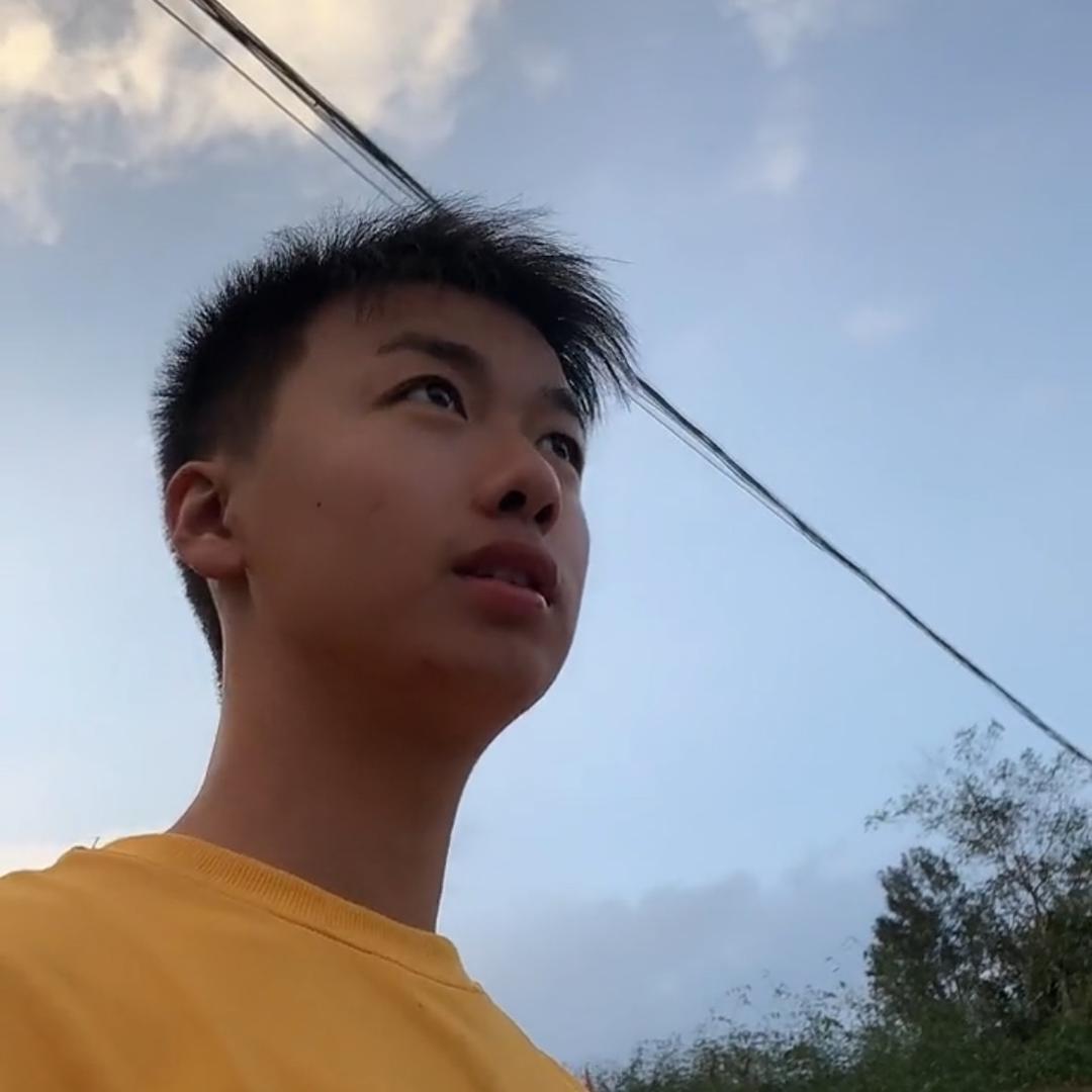 龙娃 汽车贸易商行