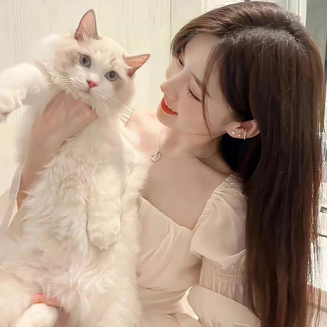 小胡不睡觉💭