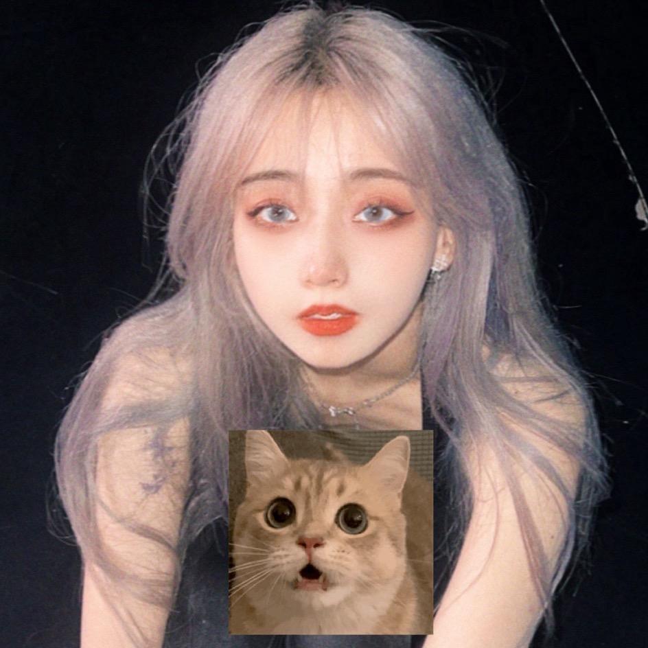 橘子w🍊