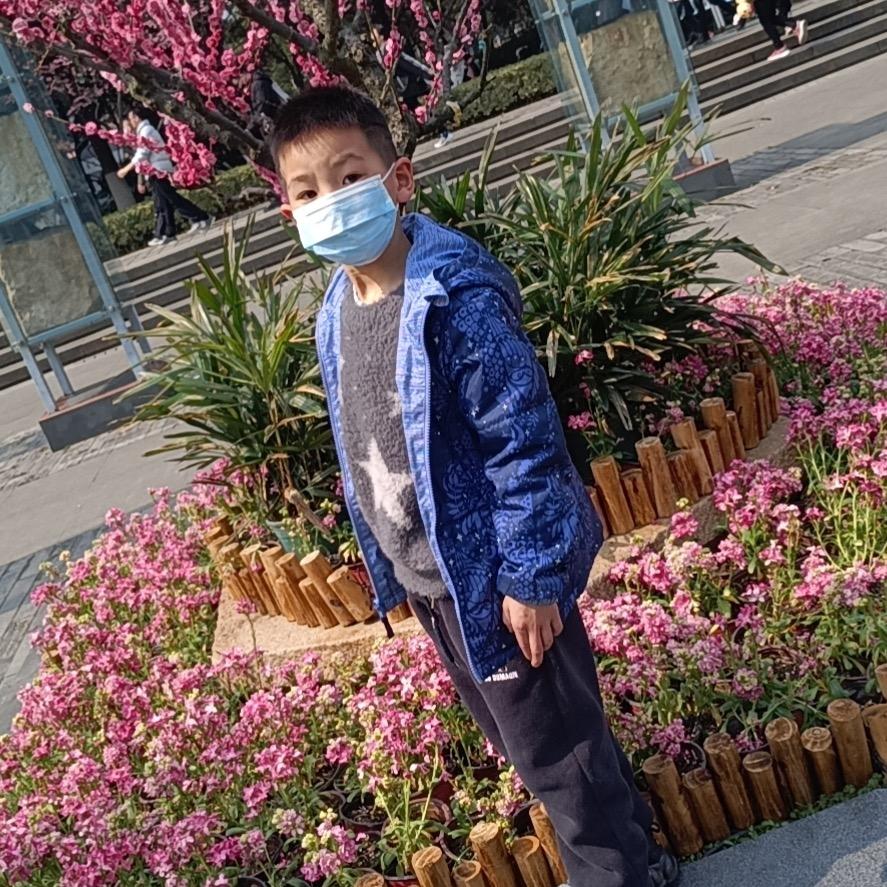 蹦羊