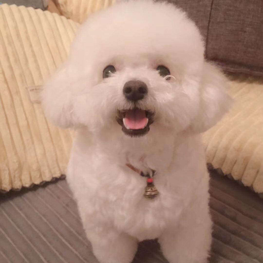 瑞瑞最爱我