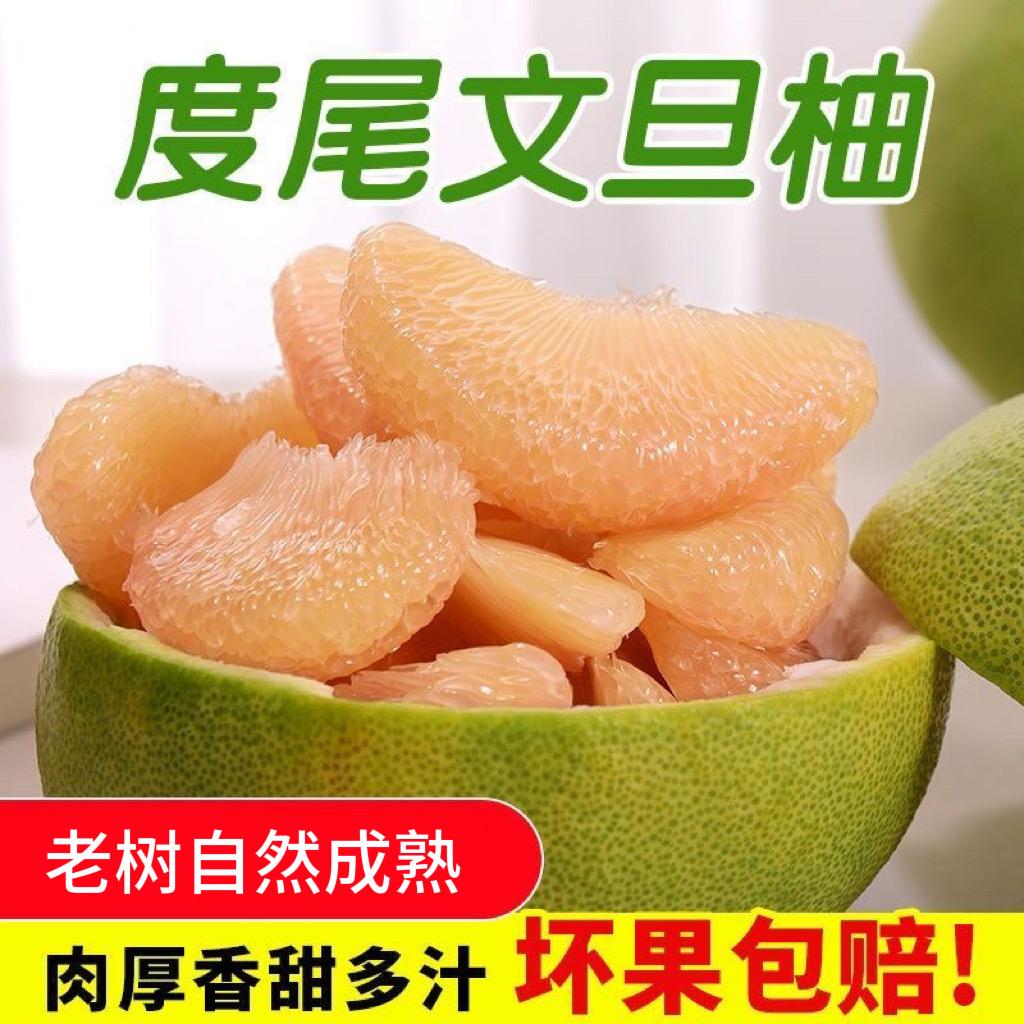 度尾文旦柚果园直发