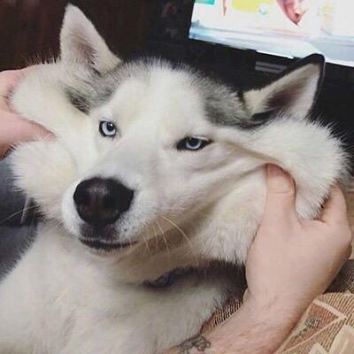 鱼汤没有鱼