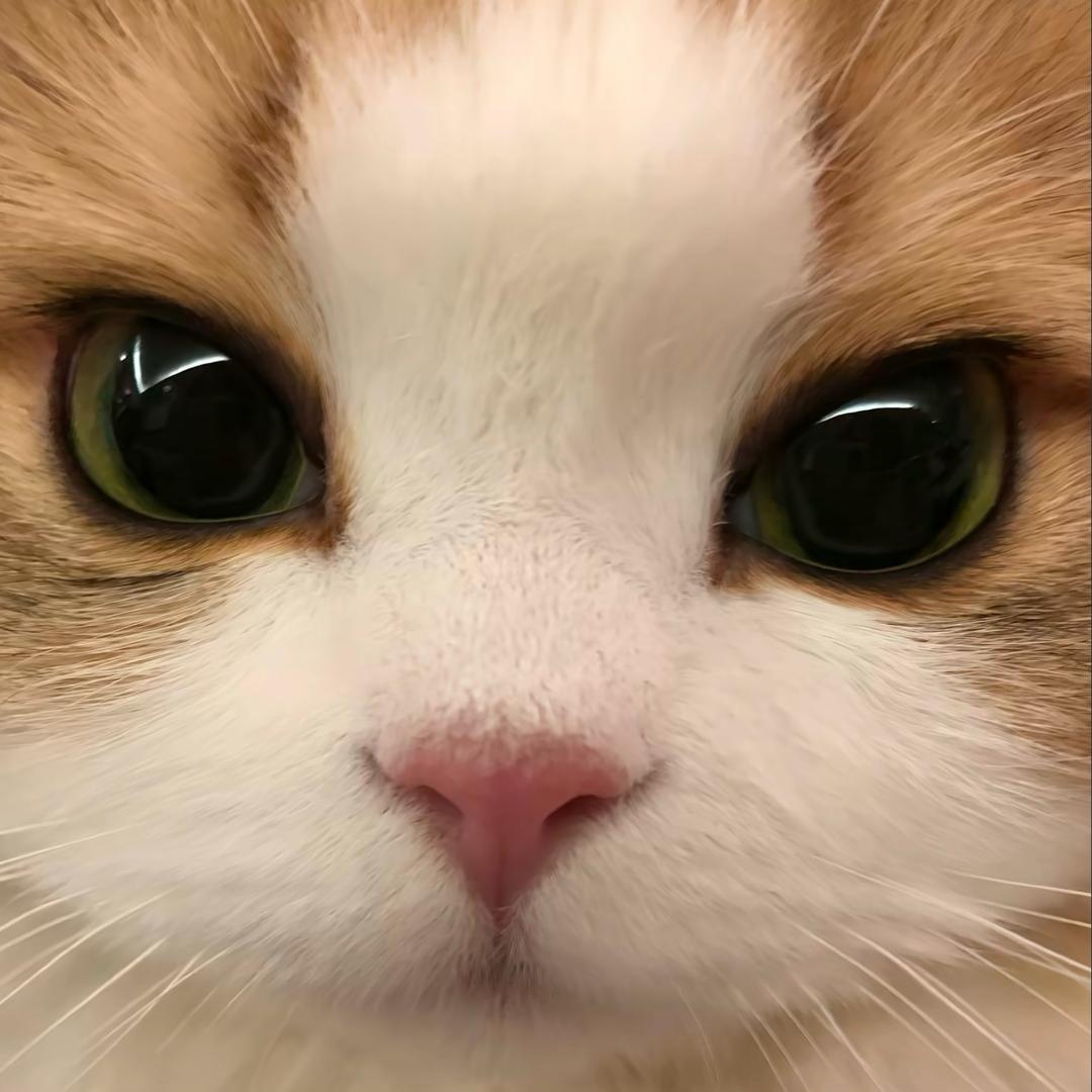 葡萄