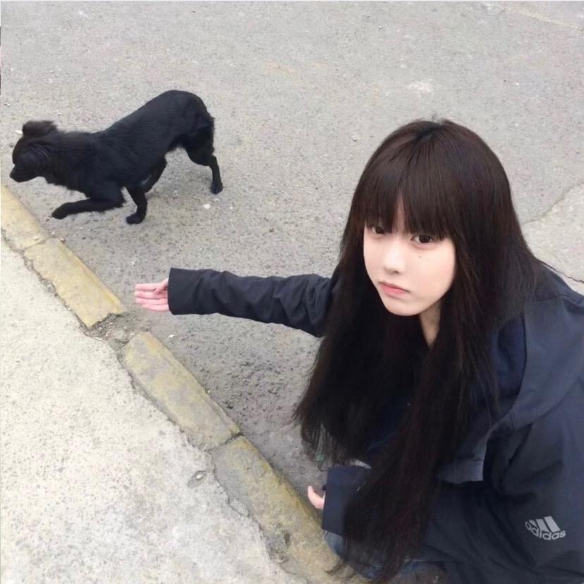 骂我你就完蛋了