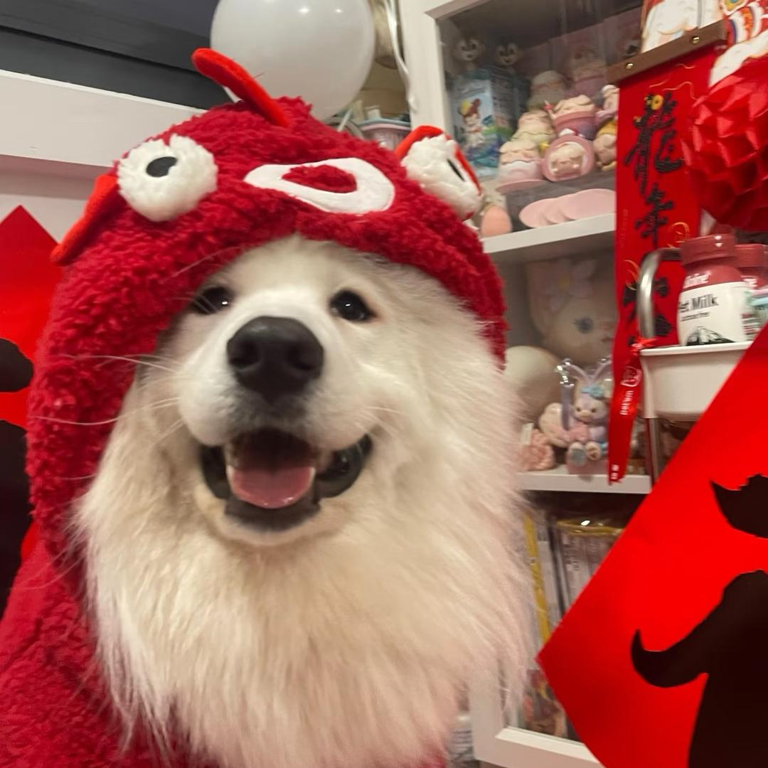 独角兽的小宇宙🪐🪐🪐