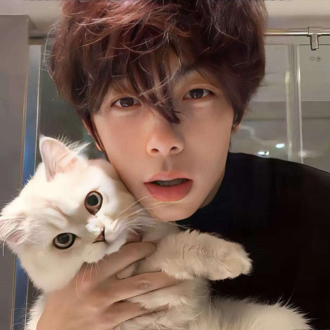 一碗河南羊汤烩面吃出男人的浪漫